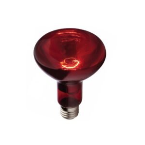 WhatsApp Image 2023 08 17 at 11.52.11 AM