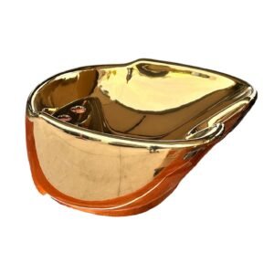 WhatsApp Image 2024 05 22 at 4.22.23 PM