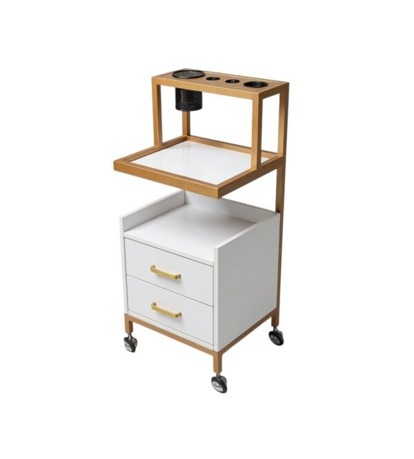 Salon Cabinet Trolley