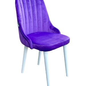 WhatsApp Image 2024 02 23 at 4.46.58 PM