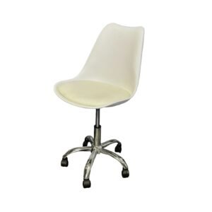 WhatsApp Image 2024 07 10 at 11.56.19 AM