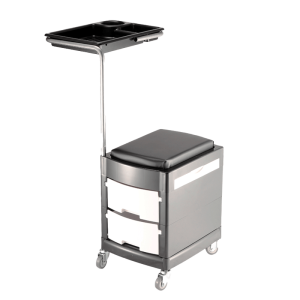 სალონის ინვენტარი