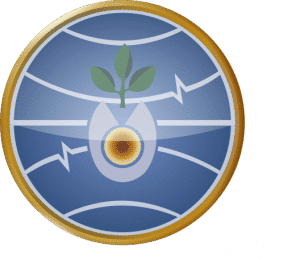 სს ჩაჩავას კლინიკა