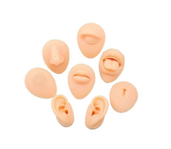 Silicone Body Parts for Piercing Practice