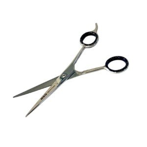 WhatsApp Image 2024 08 30 at 11.21.07 AM 1