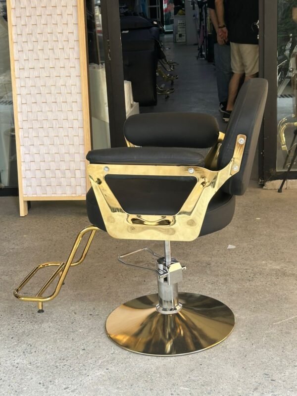 Salon Chair - Image 2