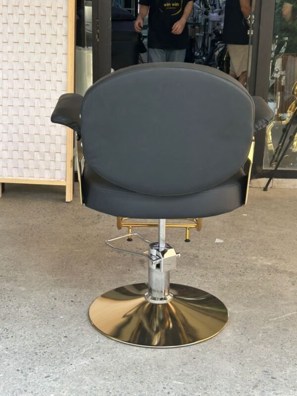 Salon Chair - Image 3