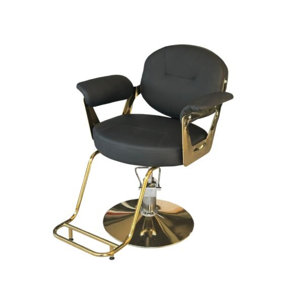 Salon Chair