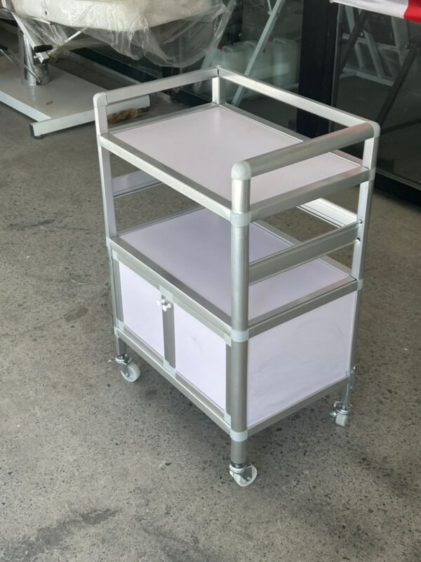 Aluminum cart with storage