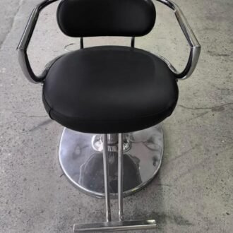 Salon Chair