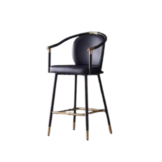Salon Stool
